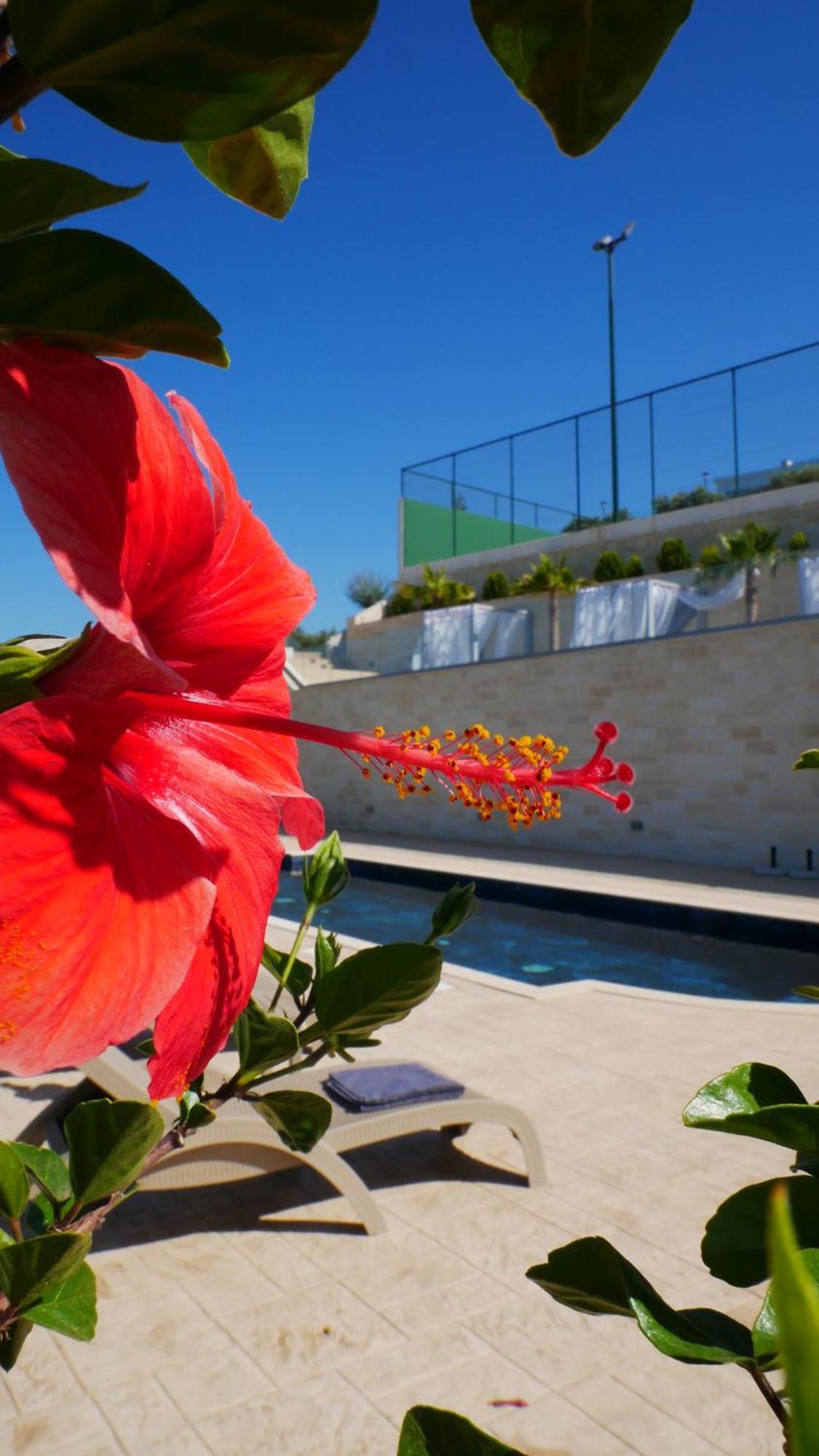 Amour Relax Hotel Almirida Zewnętrze zdjęcie